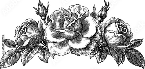 Ornate floral rosette design featuring intricate roses for decorative typography