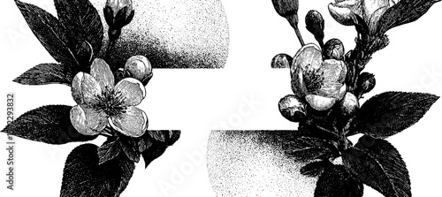 Vintage spring blossom border design in engraving style for greeting cards and invitations