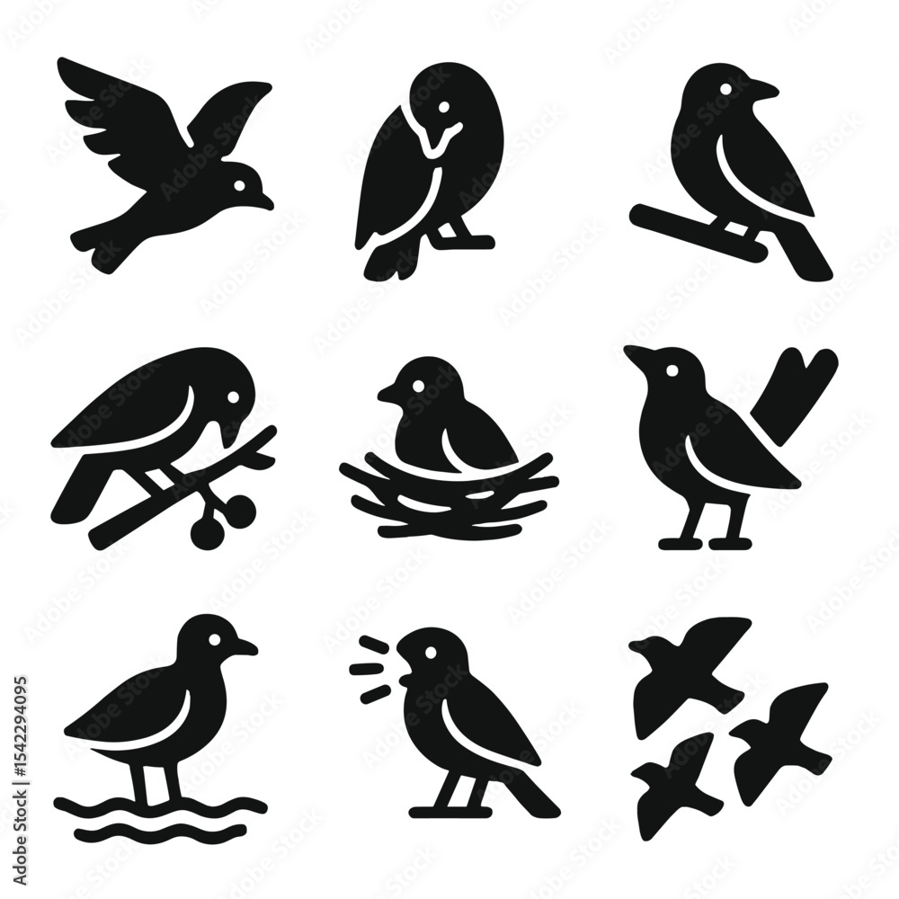 Obraz premium Bird Behavior Icons. Solid style icons of bird behavior and activity: flying motion, preening bird, perched stance, feeding from