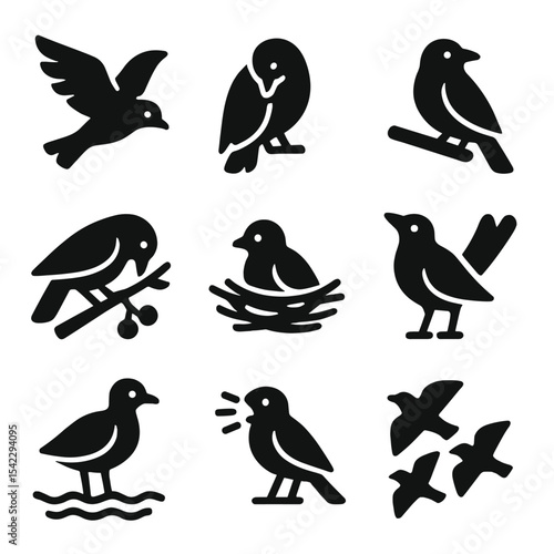 Bird Behavior Icons. Solid style icons of bird behavior and activity: flying motion, preening bird, perched stance, feeding from