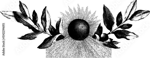 Vintage sunburst ornament with leaves in engraving style for decorative design