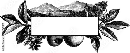 Vintage tea box label with ornate border and engraving of mountains and fruits