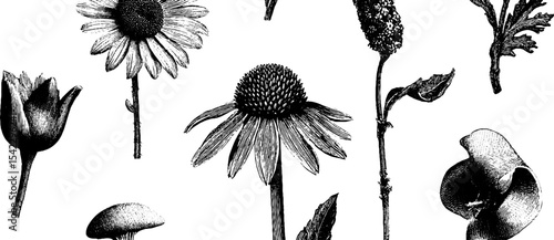 Vintage wildflower meadow pattern in engraving style for design and decor