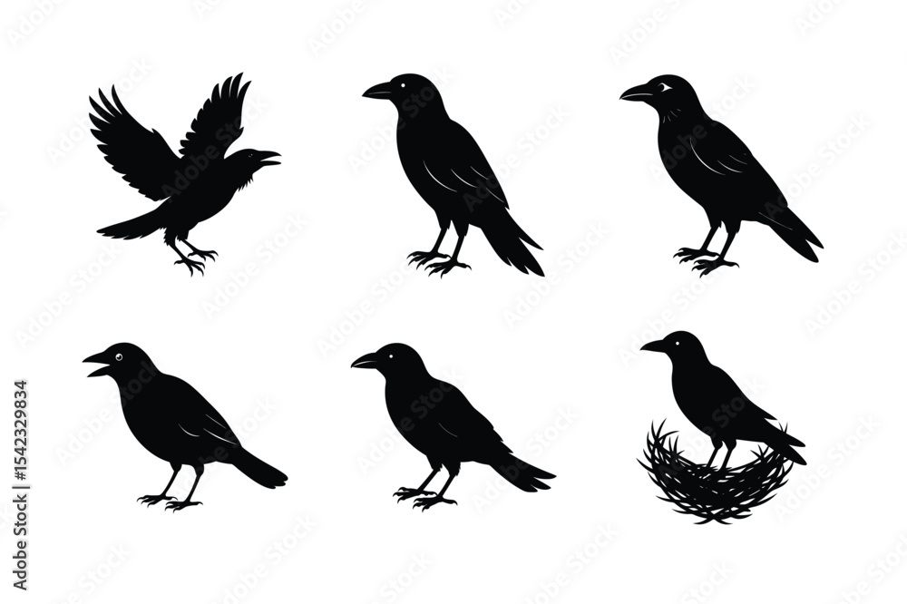 Obraz premium Crow different activities silhouette bundle 