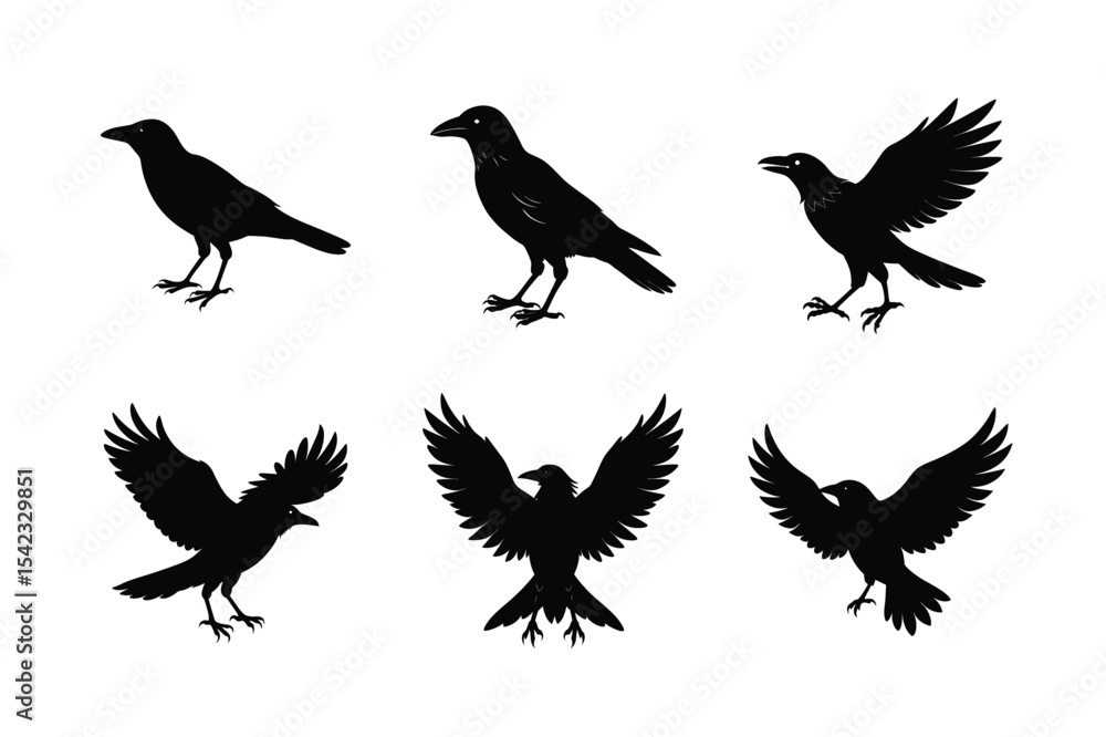 Fototapeta premium Crow different activities silhouette bundle 