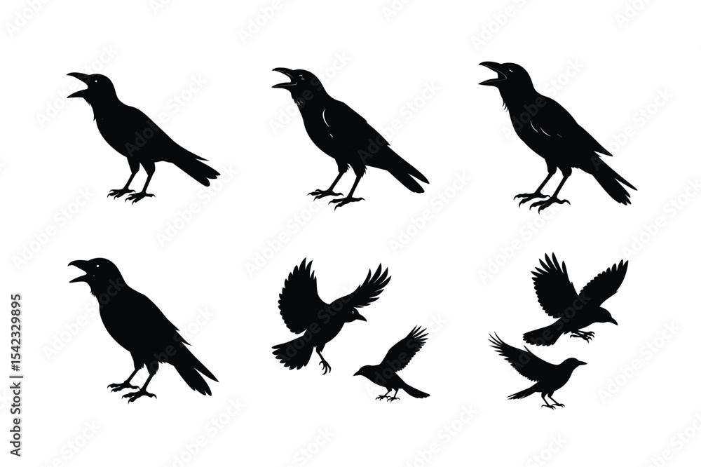 Fototapeta premium Crow different activities silhouette bundle 