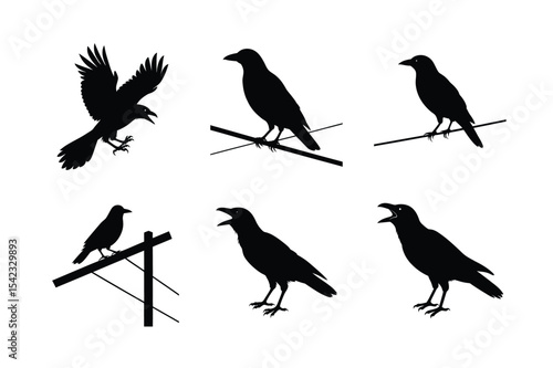 Wallpaper Mural Crow different activities silhouette bundle  Torontodigital.ca