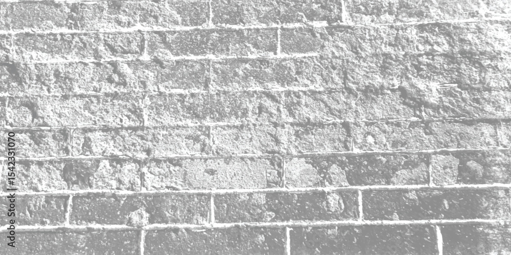 Fototapeta premium Monochromatic exterior surface characterized by distinct cracks, subtle stains, and an overall aged, timeworn aesthetic.