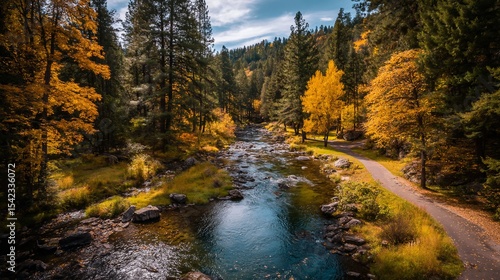 Autumn forest stream flowing through golden trees