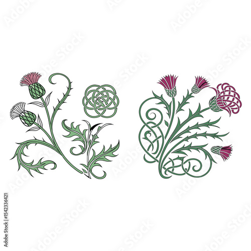 Elegant Thistle Floral Designs Celtic Knot & Botanical Illustrations