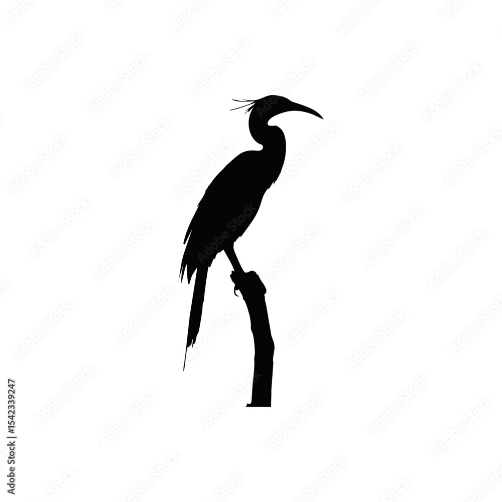 Fototapeta premium silhouette of a long-billed stork