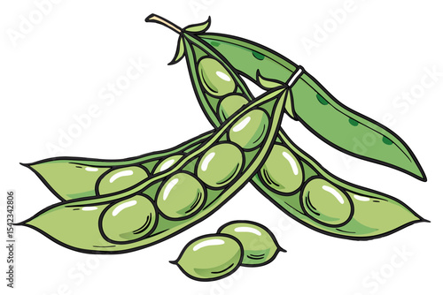 Healthy Edamame Vector Drawing on White