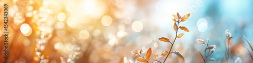 Blurred out fall seasonal abstract nature banner with copy space