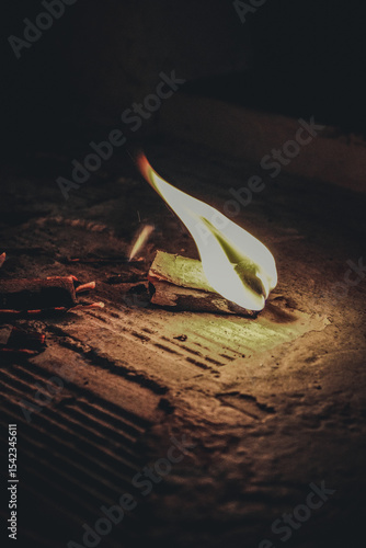 There's nothing left but ashes