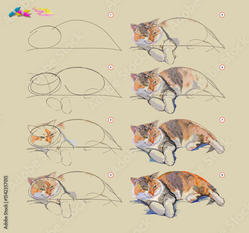 Page shows how to learn to draw from life sketch of the domestic cat. Creation step by step painting with pastel chalks. Educational page for artists. Hand drawn vector illustration.
