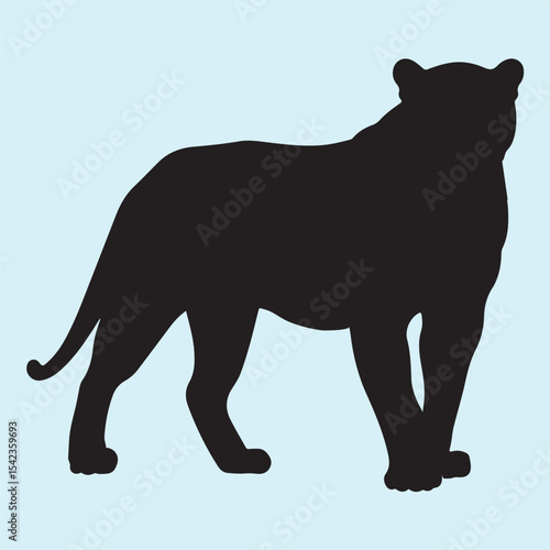 Black Panther Silhouette ,Wild Jungle Cat 