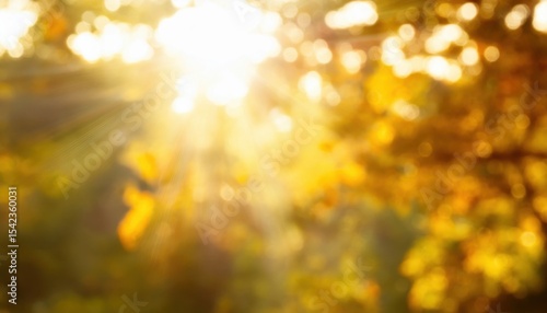 warm golden sunlight bokeh with blurred autumn foliage and glowing rays ideal background for seasonal web design, poster, branding, or greeting card

