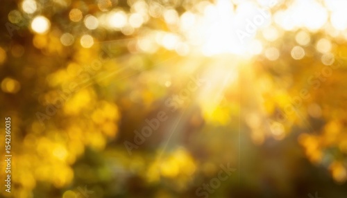 warm golden sunlight bokeh with blurred autumn foliage and glowing rays ideal background for seasonal web design, poster, branding, or greeting card

