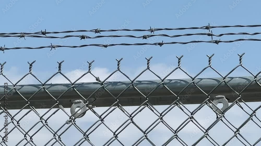 barbed wire fence barbed wire fence