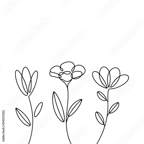 Minimal Botanical Line Flowers Trio. A set of three minimalist colors with a thin line in a modern style.