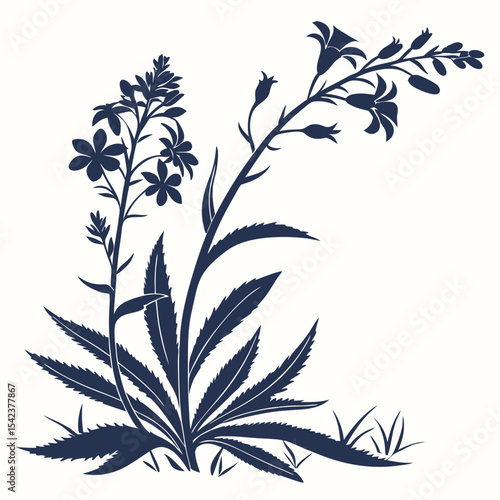 vector illustration of lobelias