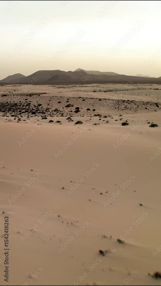 Fuerteventura dunes in the Canary Islands during sunset Fuerteventura dunes in the Canary Islands during sunset