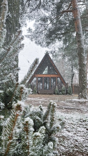 A small wooden house in the...