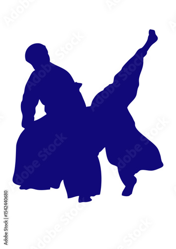 aikido silhouette ombre