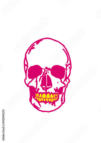 tete de mort dent jaune crane