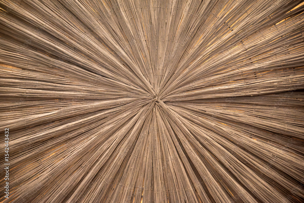 Obraz premium Radial wooden texture with natural brown fibers