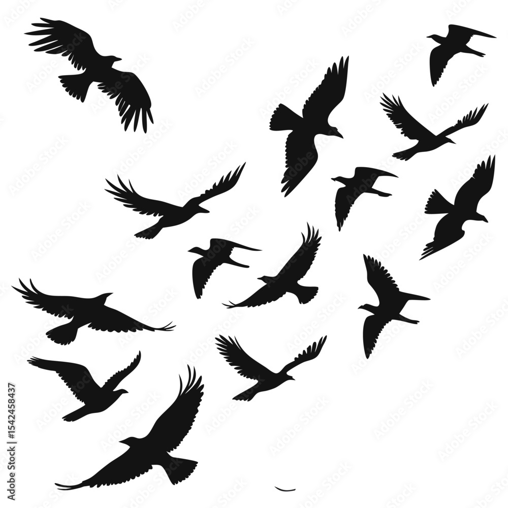 Obraz premium Silhouette of Birds Flying in Formation on a White Background