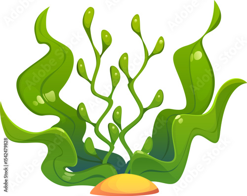Cartoon green seaweed plant with wide green waving leaves and bubble tips growing from sand. Vector marine underwater algae grass and coral reef natural vegetation. Ocean or aquarium kelp or spirulina