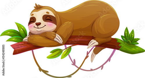 Cartoon lazy sloth animal sleeping on tree branch, vector cute character. Sloth sleeping or napping snooze on tree branch with liana leaves, tropical exotic animal with sleepy happy muzzle face