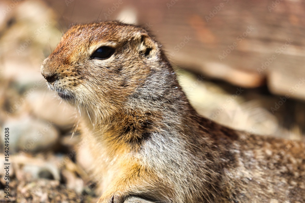 Naklejka premium Yukon Territories, Canada