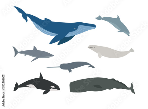 Vector set of flat hand drawn whales isolated on white background