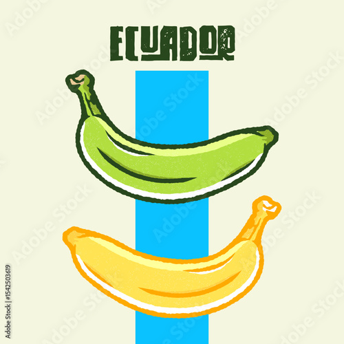 Illustration of green plantain and ripe banana with “Ecuador” text, colorful tropical-style art. Green Banana