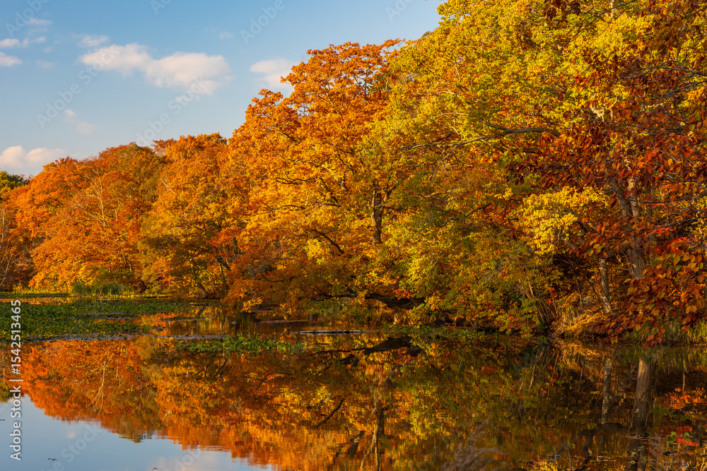 Fototapeta premium 日本の風景・秋 北海道 紅葉の大沼公園の夕暮れ