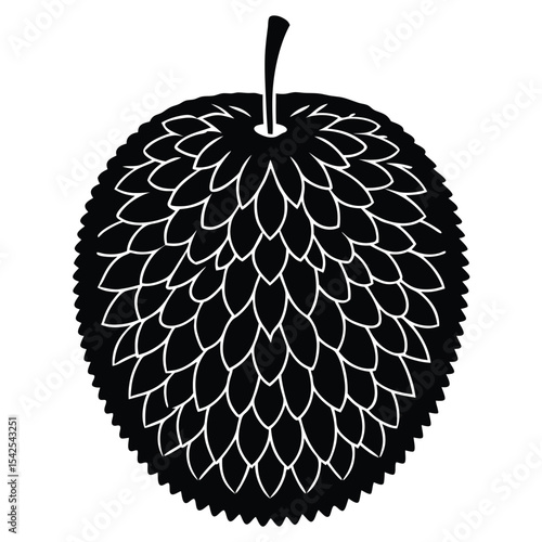 Illustration of a black durian fruit with a stem and a spiky outer shell on a white background