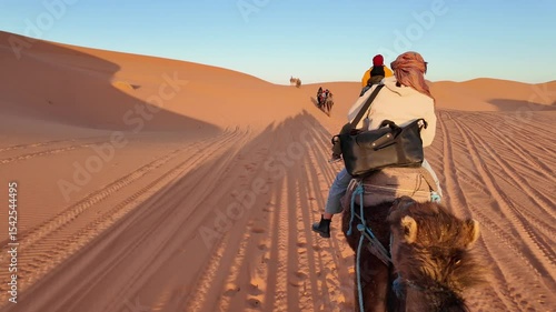Camel caravan treks through sand dunes under clear skies in Merzouga desert, Morocco at sunrise