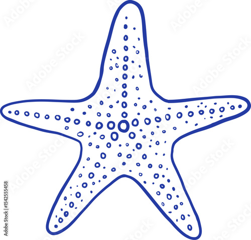Hand drawn starfish vector illustration. Underwater sealife in doodle style