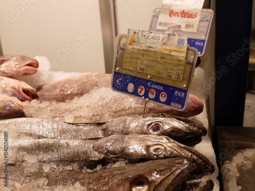 Freshly caught hake lying on crushed ice, displaying market-ready appearance with clear pricing tag at seafood vendor stall