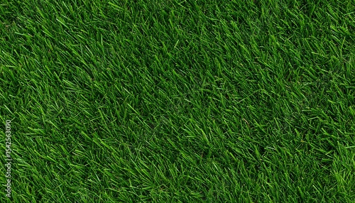 Wallpaper Mural A vibrant expanse of uniform green grass creates a seamless, natural carpeting effect filling frame. Torontodigital.ca