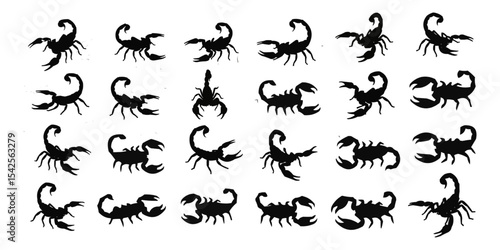 Scorpion vector design with black and white reptile silhouette in tattoo style illustration
