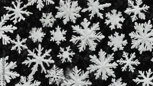 A flurry of delicate snow crystals