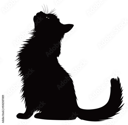 Silhouette of a sitting black cat with a bushy tail against a white background.