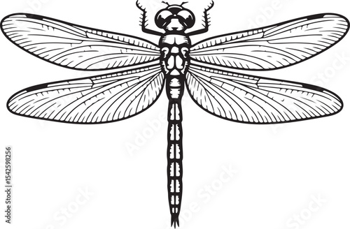 Dragonfly in Flight Silhouette

Detailed Dragonfly Wings Vector Design

Dragonfly Resting on Leaf Silhouette

Elegant Dragonfly Outline Vector Art

Dragonfly Close-Up Silhouette Illustration