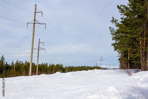  A quiet snow-covered forest road stretches between tall pine trees under a soft winter light. The untouched snowbanks and dense evergreen woods create a serene, natural winter scene.
