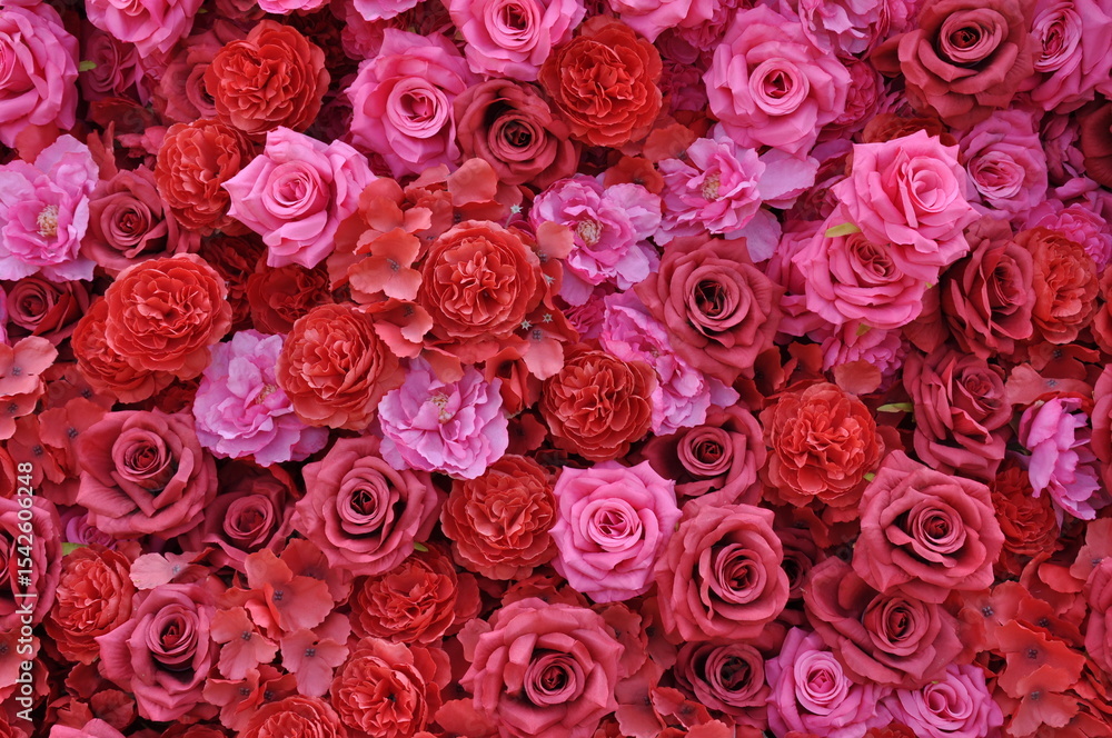 Fototapeta premium Beautiful pink and red roses floral pattern background
