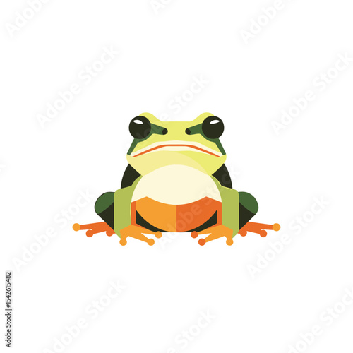 Stylized frog illustration on a clean background showcasing geometric forms and vibrant colors