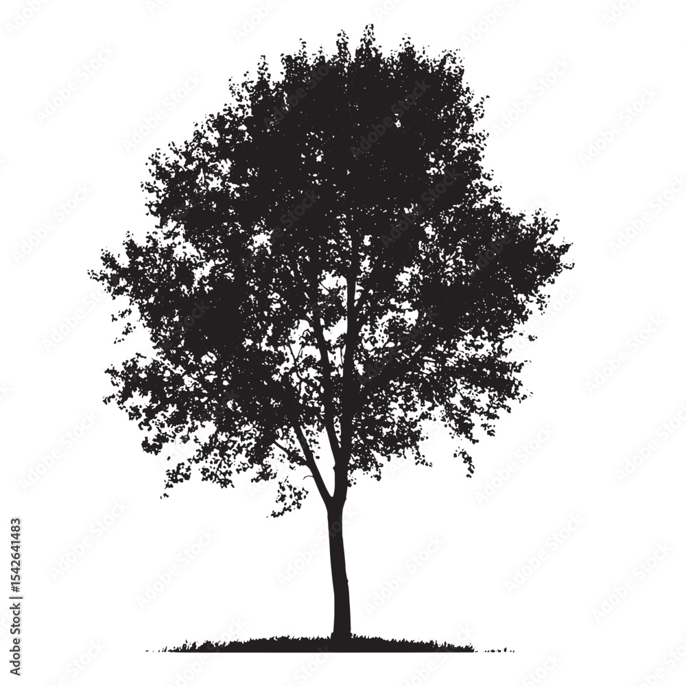 Fototapeta premium Aspen Tree Silhouette Minimal Style Vector
